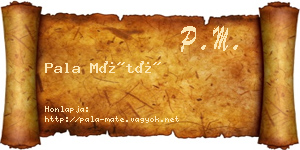 Pala Máté névjegykártya